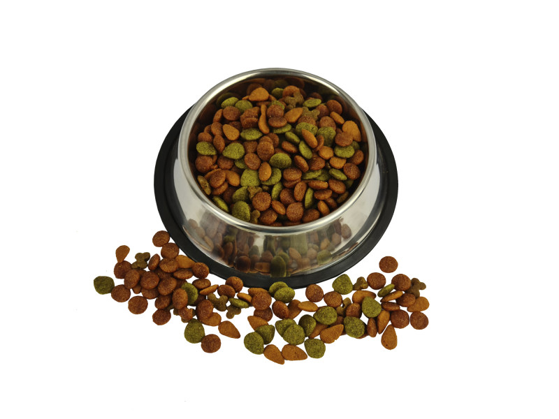 Comedouro Inox Cachorro Gato Antioxidante Saudável Bebedouro